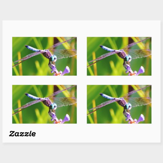 Sticker Rectangulaire libellule turquoise et violette (Feuille)