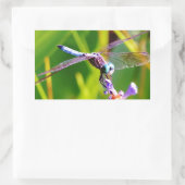 Sticker Rectangulaire libellule turquoise et violette (Sac)