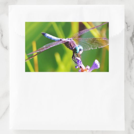 Sticker Rectangulaire libellule turquoise et violette (Sac)