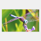 Sticker Rectangulaire libellule turquoise et violette (Devant)