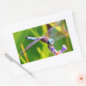 Sticker Rectangulaire libellule turquoise et violette (Enveloppe)