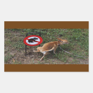 Sticker Rectangulaire L'Ignorance Est Bliss Mauvais Chihuahua