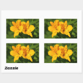 Sticker Rectangulaire Lilies péruviennes (Feuille)