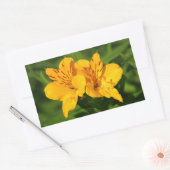 Sticker Rectangulaire Lilies péruviennes (Enveloppe)