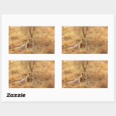 Sticker Rectangulaire Lion (Feuille)