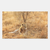 Sticker Rectangulaire Lion (Devant)