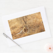 Sticker Rectangulaire Lion (Enveloppe)