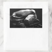 Sticker Rectangulaire Lion de mer dormant .1781 (Sac)