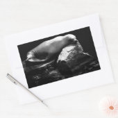 Sticker Rectangulaire Lion de mer dormant .1781 (Enveloppe)