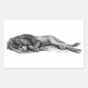 Sticker Rectangulaire Lion en mode vectoriel