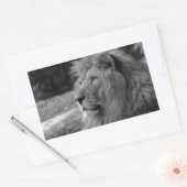 Sticker Rectangulaire Lion noir et blanc - Animal sauvage (Enveloppe)