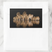 Sticker Rectangulaire Lion Pride Drinks at the Water Hole at Night (Sac)