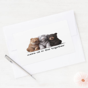 Sticker Rectangulaire Lion, Tigre & Ours Cubs Cuddin Best Friends