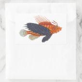 Sticker Rectangulaire Lionfish - Pterois - gravure d'antiquité de (Sac)