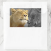 Sticker Rectangulaire Lions dans l'amour (Sac)