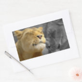 Sticker Rectangulaire Lions dans l'amour (Enveloppe)