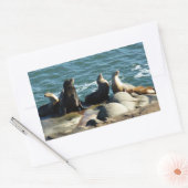 Sticker Rectangulaire Lions de la mer de San Diego (Enveloppe)
