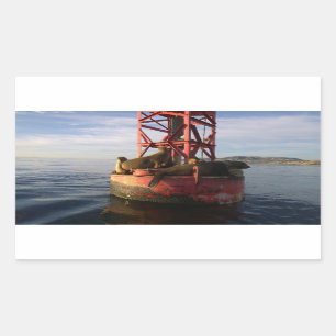 Sticker Rectangulaire Lions de mer se détendre sur une bouée à Dana Poin