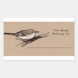 Sticker Rectangulaire Little Bird in Charcoal : Book Plate : Wildlife Ar