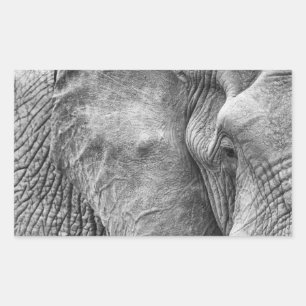 Sticker Rectangulaire L'oeil d'un éléphant