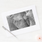 Sticker Rectangulaire L'oeil d'un éléphant (Enveloppe)