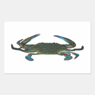 Sticker Rectangulaire Logo atlantique de crabe bleu