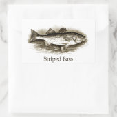 Sticker Rectangulaire Logo de basse rayée (vintage) (Sac)