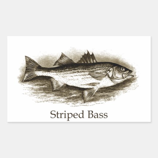 Sticker Rectangulaire Logo de basse rayée (vintage) (Devant)