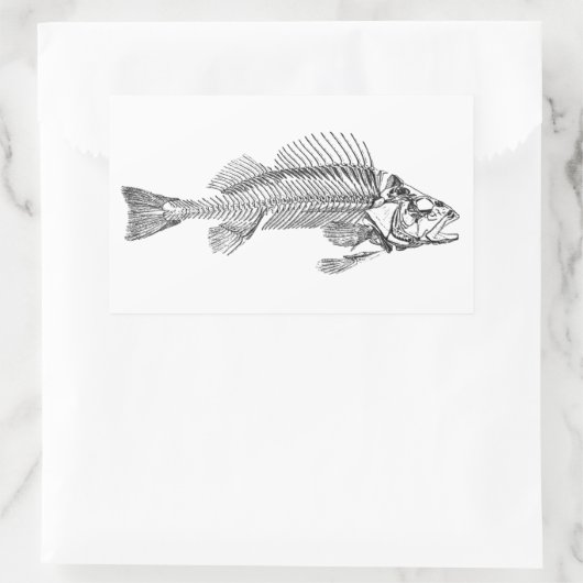 Sticker Rectangulaire Logo Fish Skeleton (Sac)