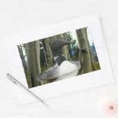 Sticker Rectangulaire Loon sauvage (Enveloppe)