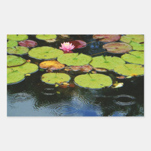 Sticker Rectangulaire Lotus rose en pluie