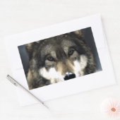 Sticker Rectangulaire Loup (Enveloppe)