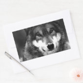 Sticker Rectangulaire Loup (Enveloppe)