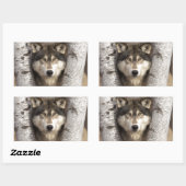 Sticker Rectangulaire Loup de bois par Jim Zuckerman (Feuille)