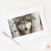 Sticker Rectangulaire Loup de bois par Jim Zuckerman (Enveloppe)