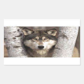 Sticker Rectangulaire Loup de bois par Jim Zuckerman
