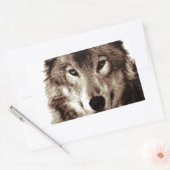 Sticker Rectangulaire Loup gris (Enveloppe)