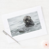 Sticker Rectangulaire Loupe de mer adorable (Enveloppe)