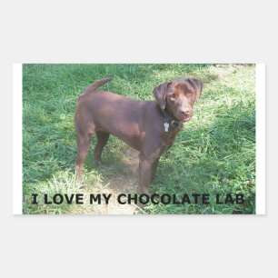 Sticker Rectangulaire LR chocolat amour de laboratoire avec l'image