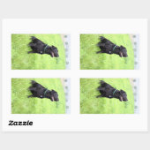 Sticker Rectangulaire LR - laboratoire noir (Feuille)