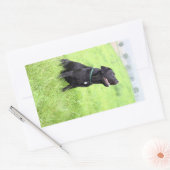 Sticker Rectangulaire LR - laboratoire noir (Enveloppe)