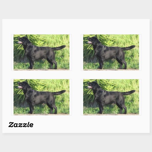 Sticker Rectangulaire LR noir complet (Feuille)