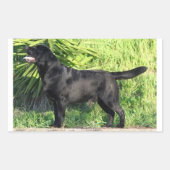 Sticker Rectangulaire LR noir complet (Devant)