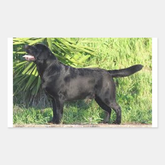 Sticker Rectangulaire LR noir complet (Devant)