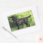 Sticker Rectangulaire LR noir complet (Enveloppe)