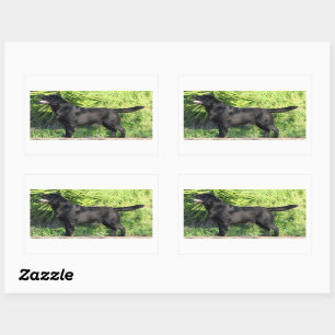 Sticker Rectangulaire LR noir complet