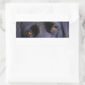 Sticker Rectangulaire LR yeux noirs (Sac)