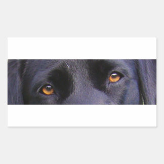 Sticker Rectangulaire LR yeux noirs