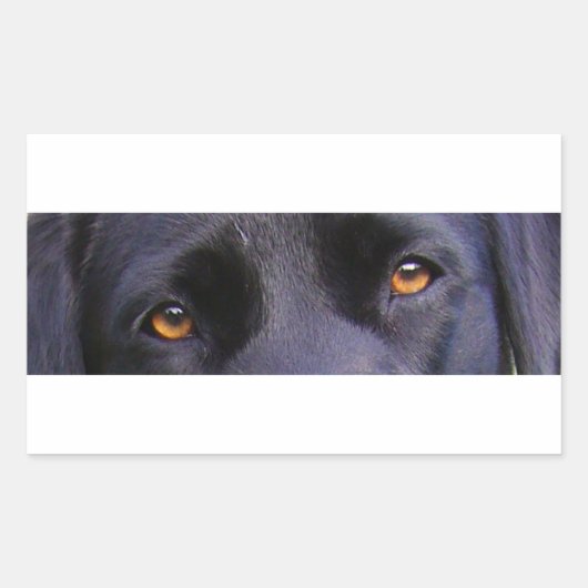 Sticker Rectangulaire LR yeux noirs (Devant)