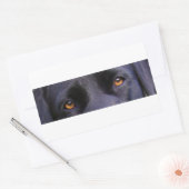Sticker Rectangulaire LR yeux noirs (Enveloppe)